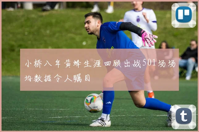 小桥八年黄蜂生涯回顾出战501场场均数据令人瞩目